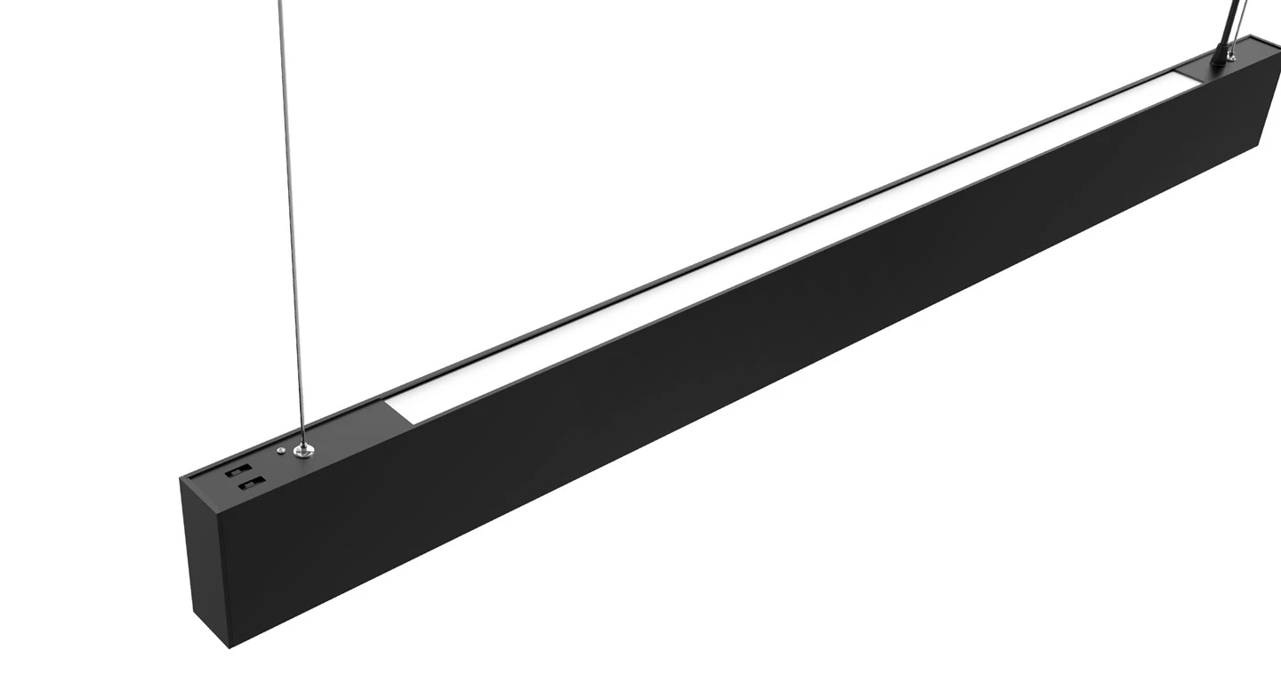 Polo Linear--3